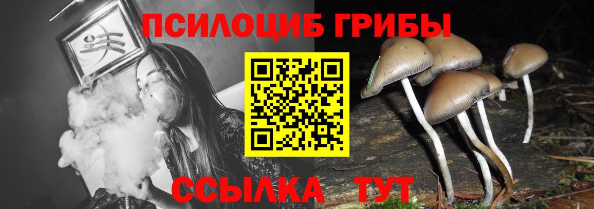 Псилоцибиновые грибы ЛСД Чистополь