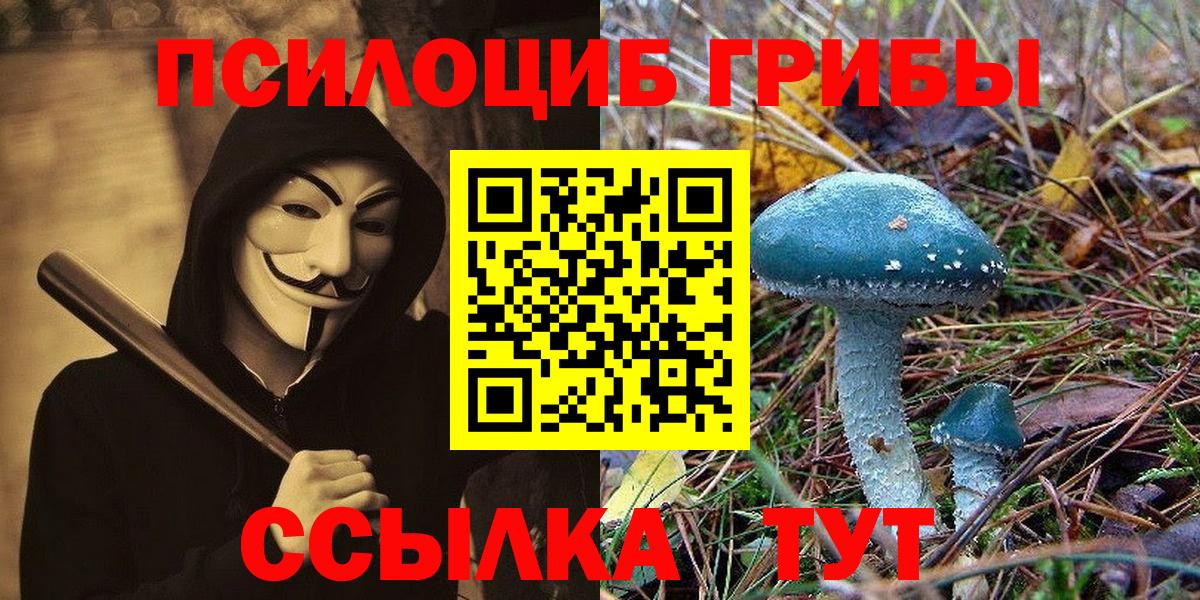 Чистополь  Галлюциногенные грибы мухоморы  Псилоцибиновые грибы MAGIC MUSHROOMS  Вход с VPN 